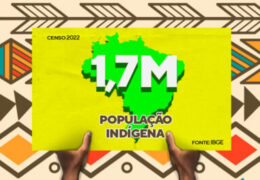 Brasil Indígena